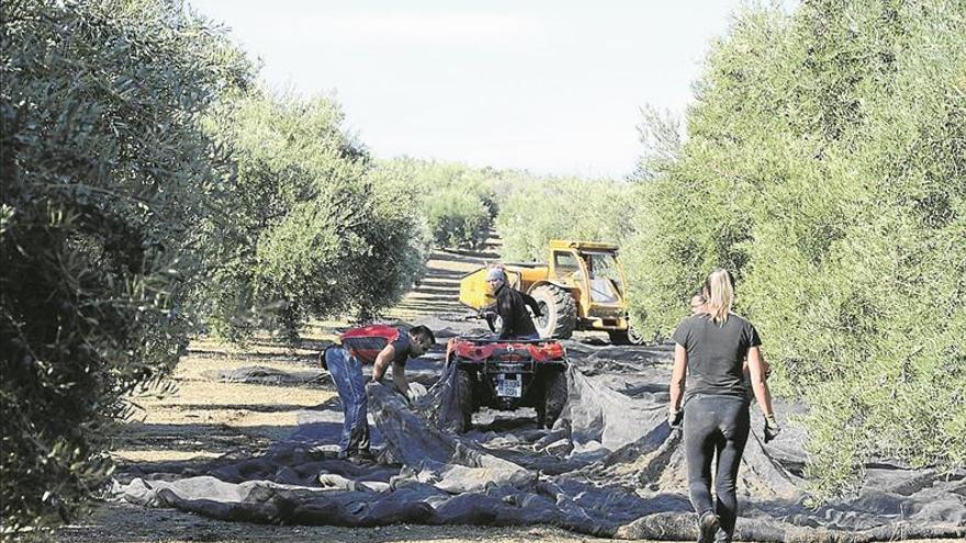 Los jóvenes ven en el campo el sector con más posibilidades en Andalucía