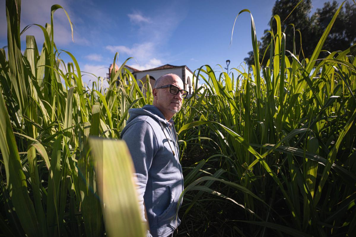 La única destilería de ron artesanal de Tenerife quiere producir un "objeto de deseo"