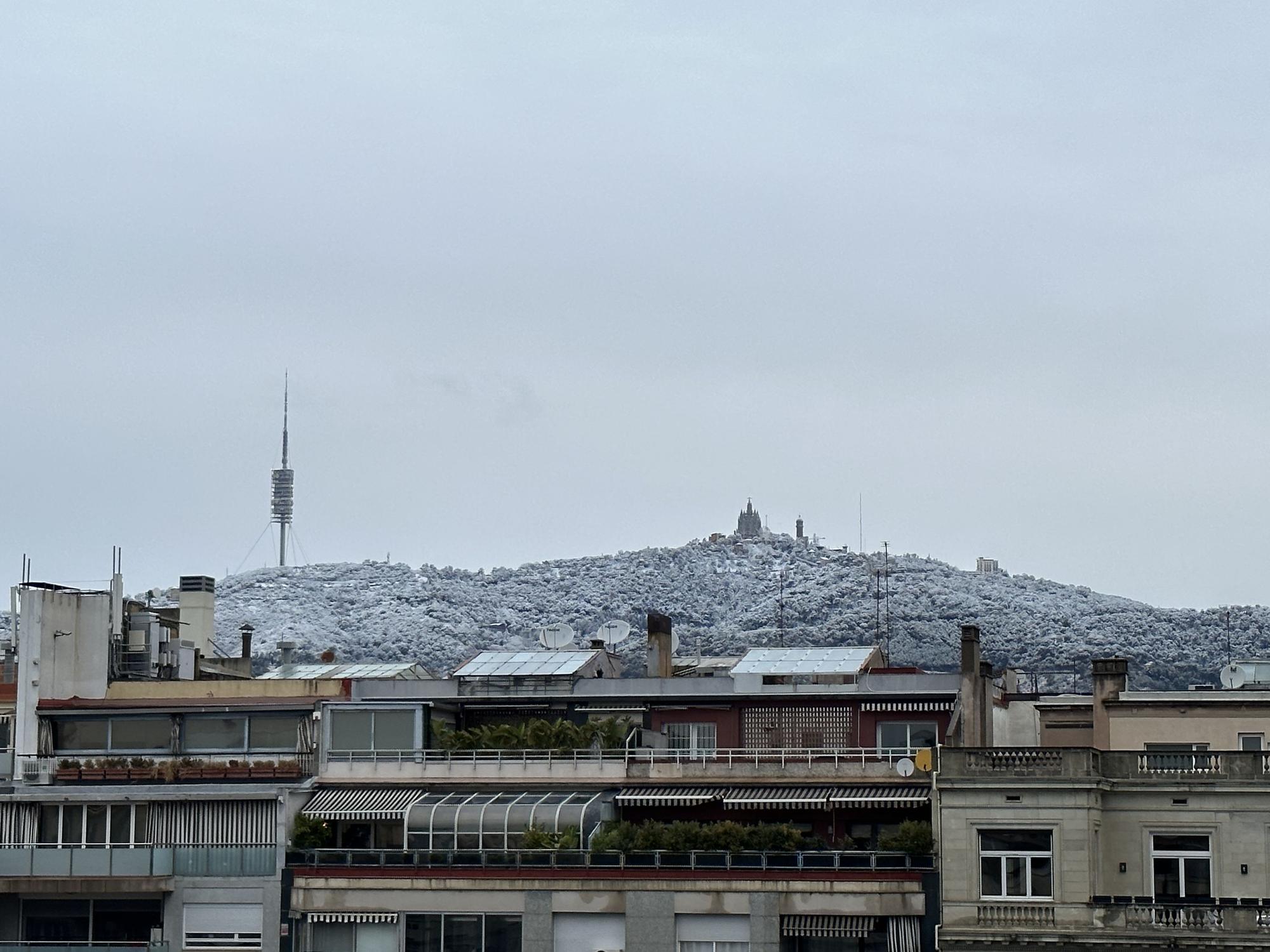 La neu enfarina Barcelona