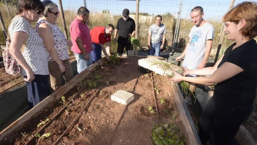 Castellón propone convertir suelo sin desarrollar en tierras agrícolas