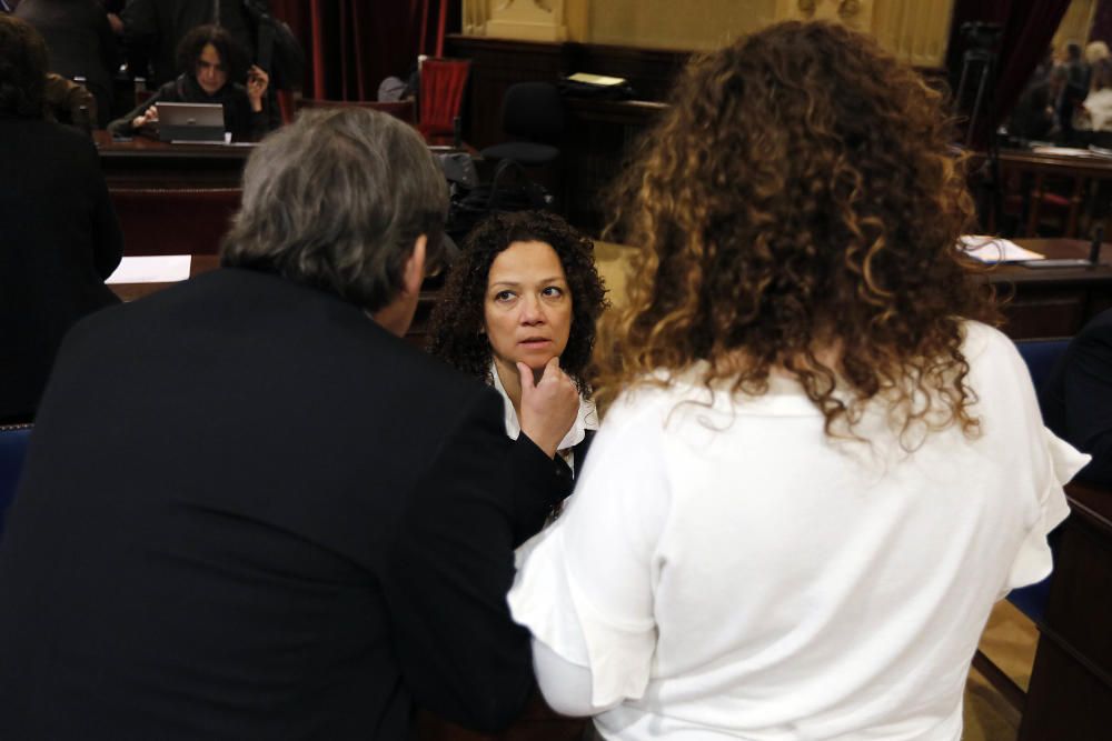 Pleno del Parlament 15 de enero de 2019