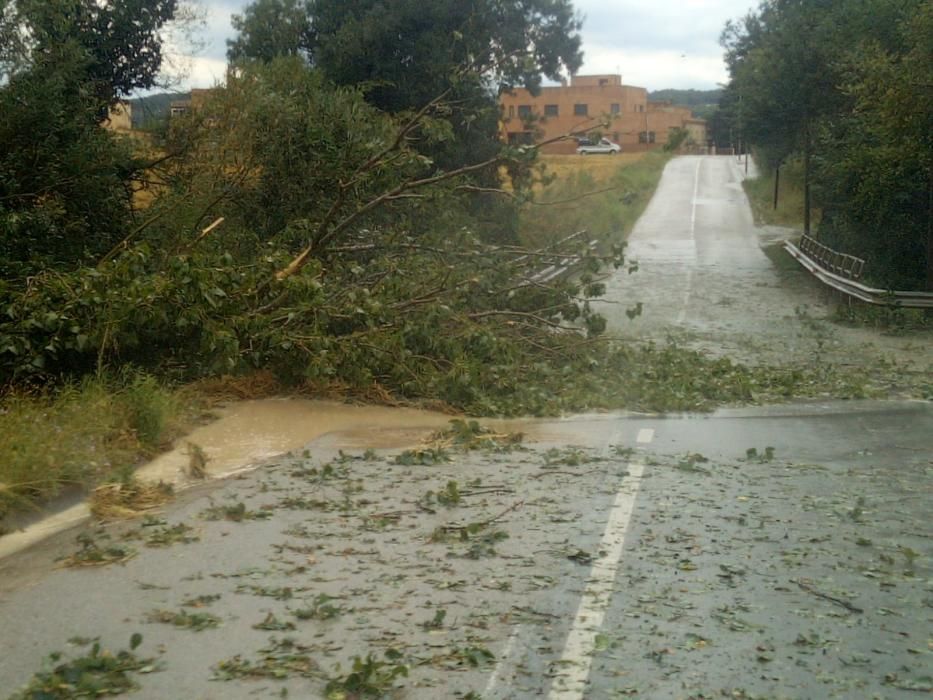 Una forta tempesta de calamarsa i vent afecta part de l'Alt Empordà