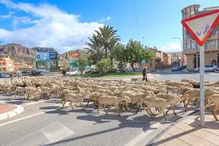 Ecologistas y vecinos denuncian la usurpación de vías pecuarias y caminos públicos en la Vega Baja