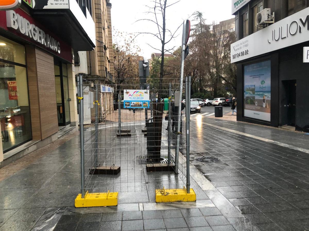 Aspecto de Gómez Becerra, ayer.