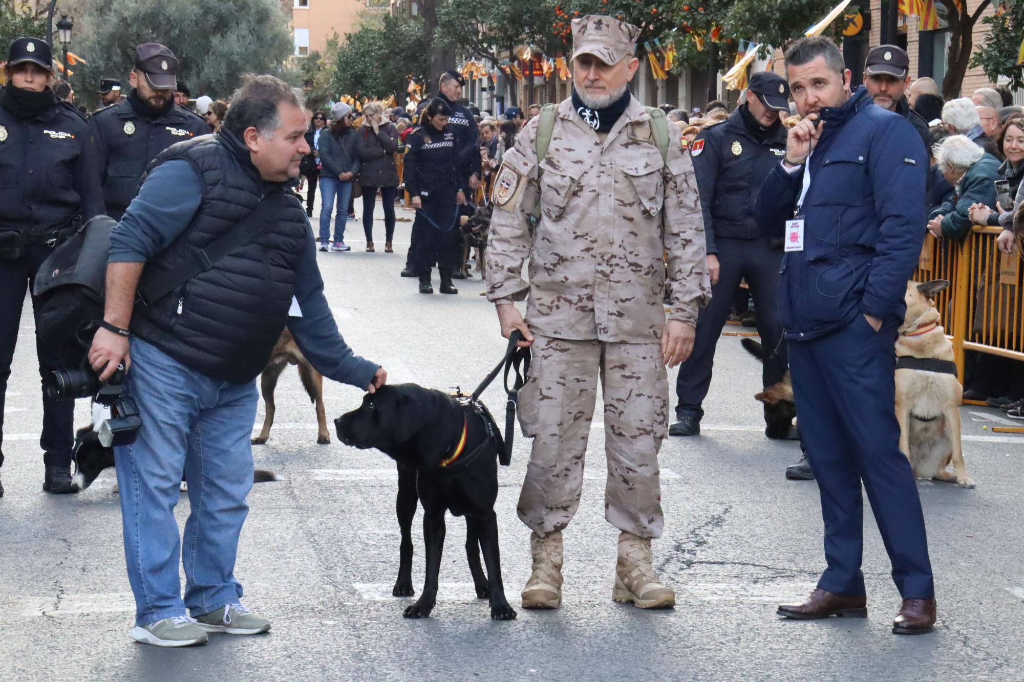 Perros policía y animales de granja completan el desfile de Sant Antoni en València