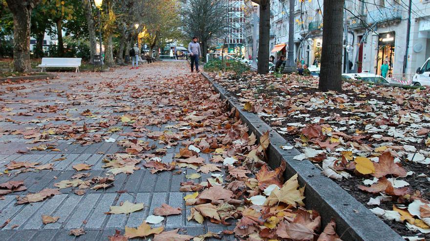 El viento dejó cunetas y parques llenos de hojas y residuos en el casco urbano. // Iñaki Osorio