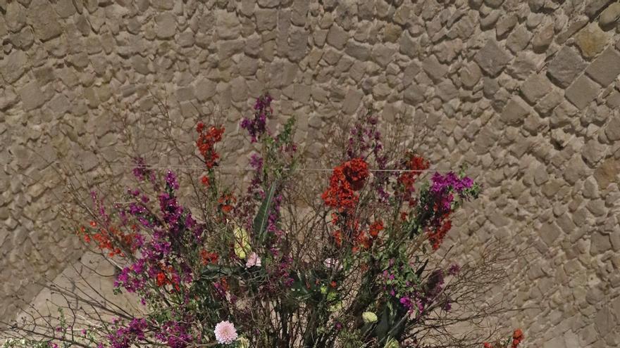 Així és el muntatge de Temps de Flors del soterrani de la catedral de Girona