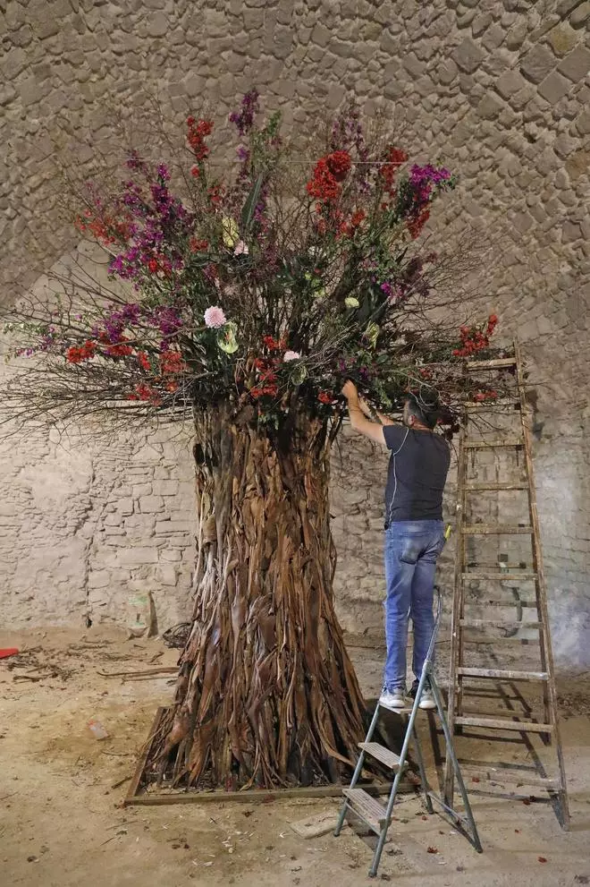Així és el muntatge de Temps de Flors del soterrani de la catedral de Girona
