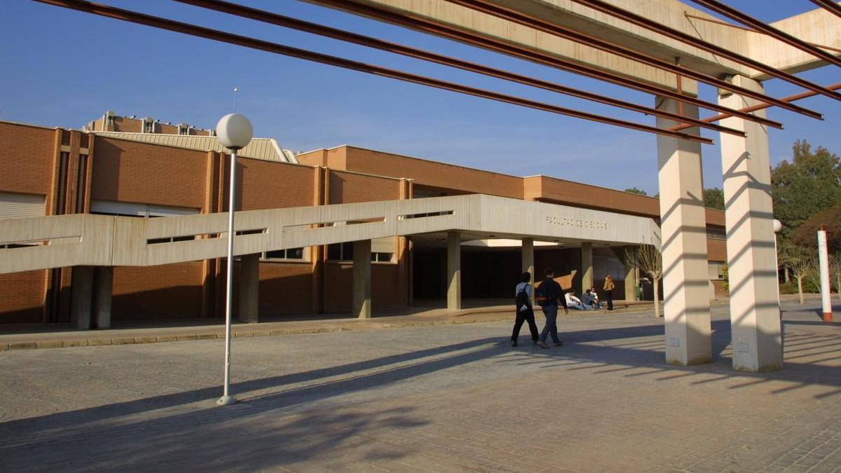 La Facultad de Ciencias de la UA, obra de una de las arquitectas que &quot;rescata&quot; la investigación.