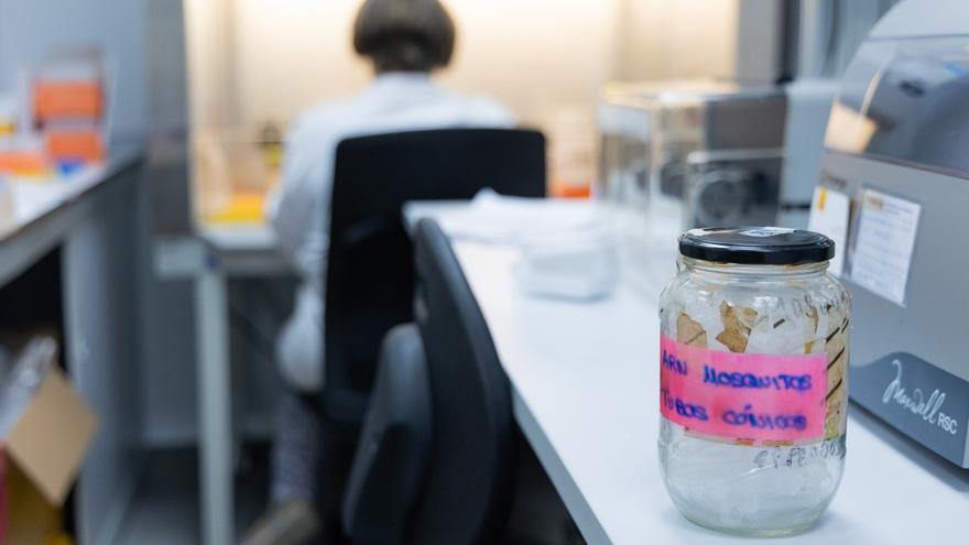 Alerta por presencia del virus del Nilo en San Juan de Aznalfarache, Mairena del Aljarafe, Burguillos, Gelves y Camas