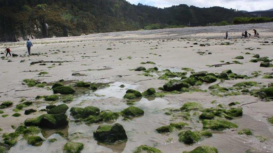 Piedras depositadas por el mar, durante los temporales del invierno, en la playa de San Pedro de Cudillero.