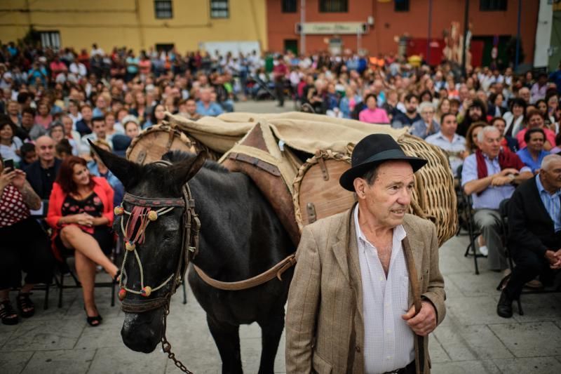 Homenaje a los cochineros de Icod el Alto