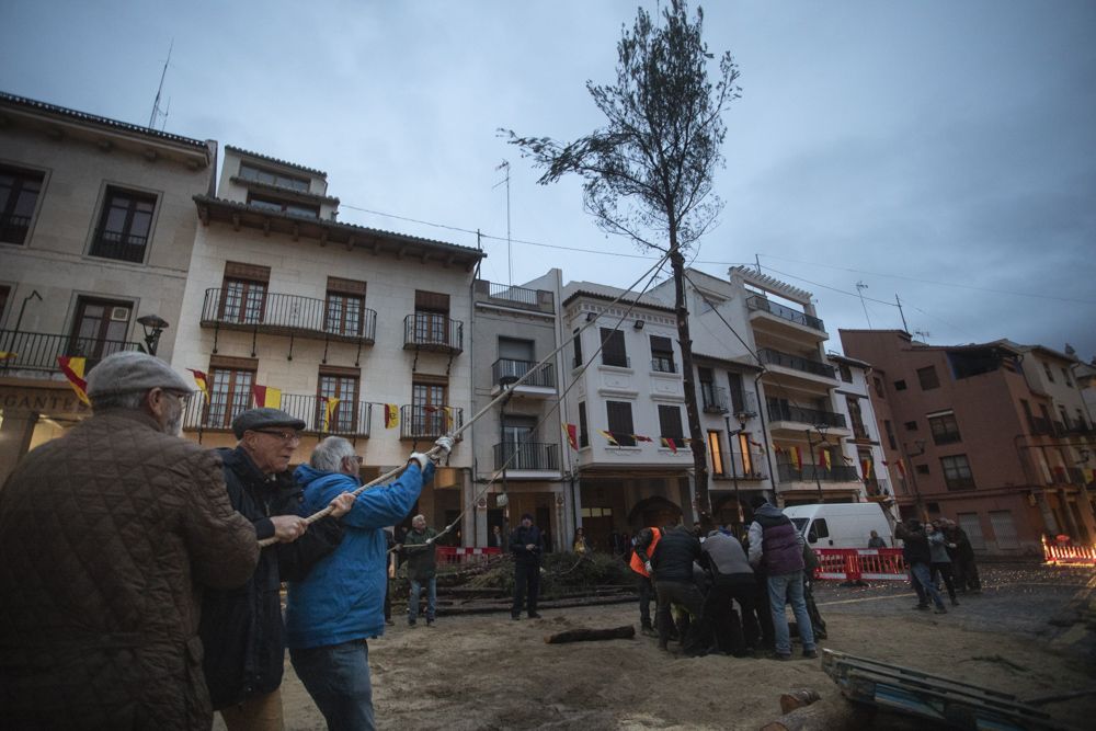 Así a sido la Plantà del Pí que el mal tiempo no ha podido parar en Sagunt