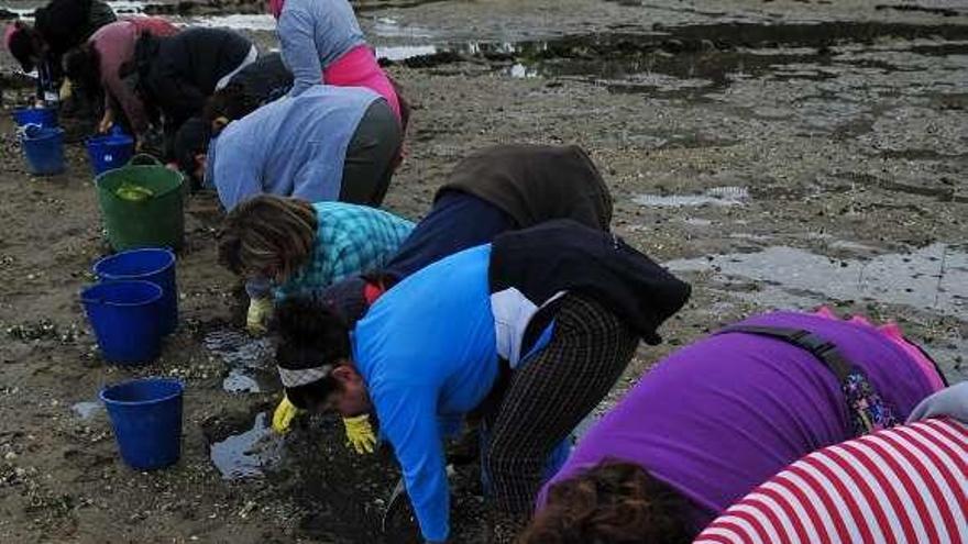 Retirada de algas en la playa de O Ariño. // Iñaki Abella