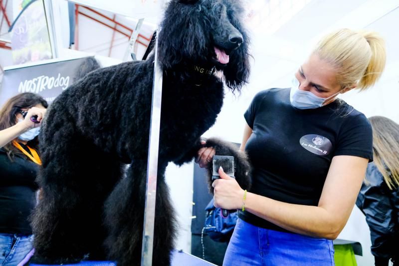 Feria Animundo de las mascotas (27/11/21)