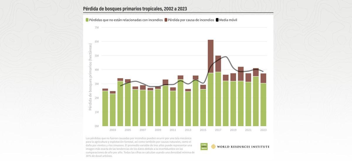 Pérdida de bosques primarios tropicales.