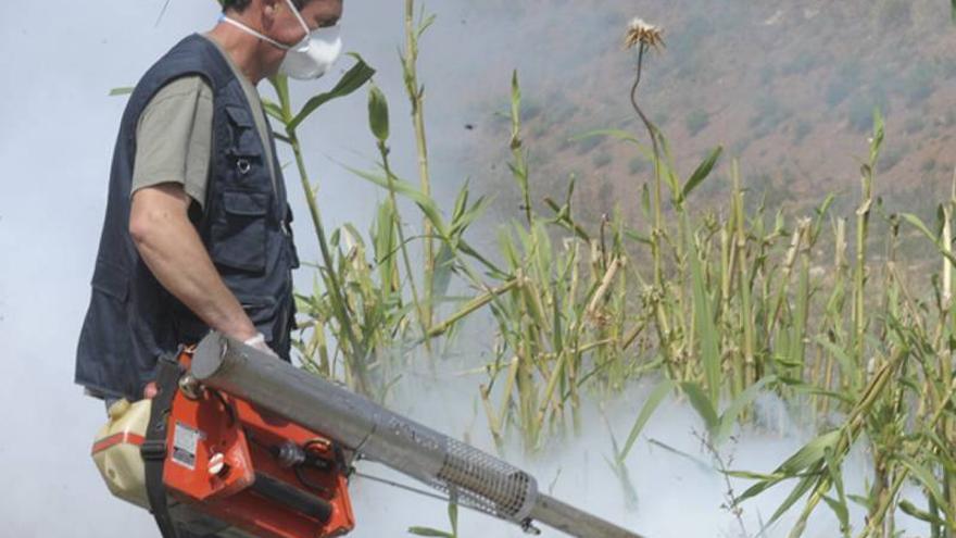 Vila-real fumigará en fincas privadas contra los mosquitos previo permiso