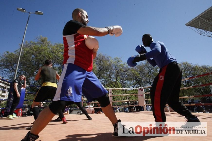 Fiesta del Deporte de Murcia (domingo)