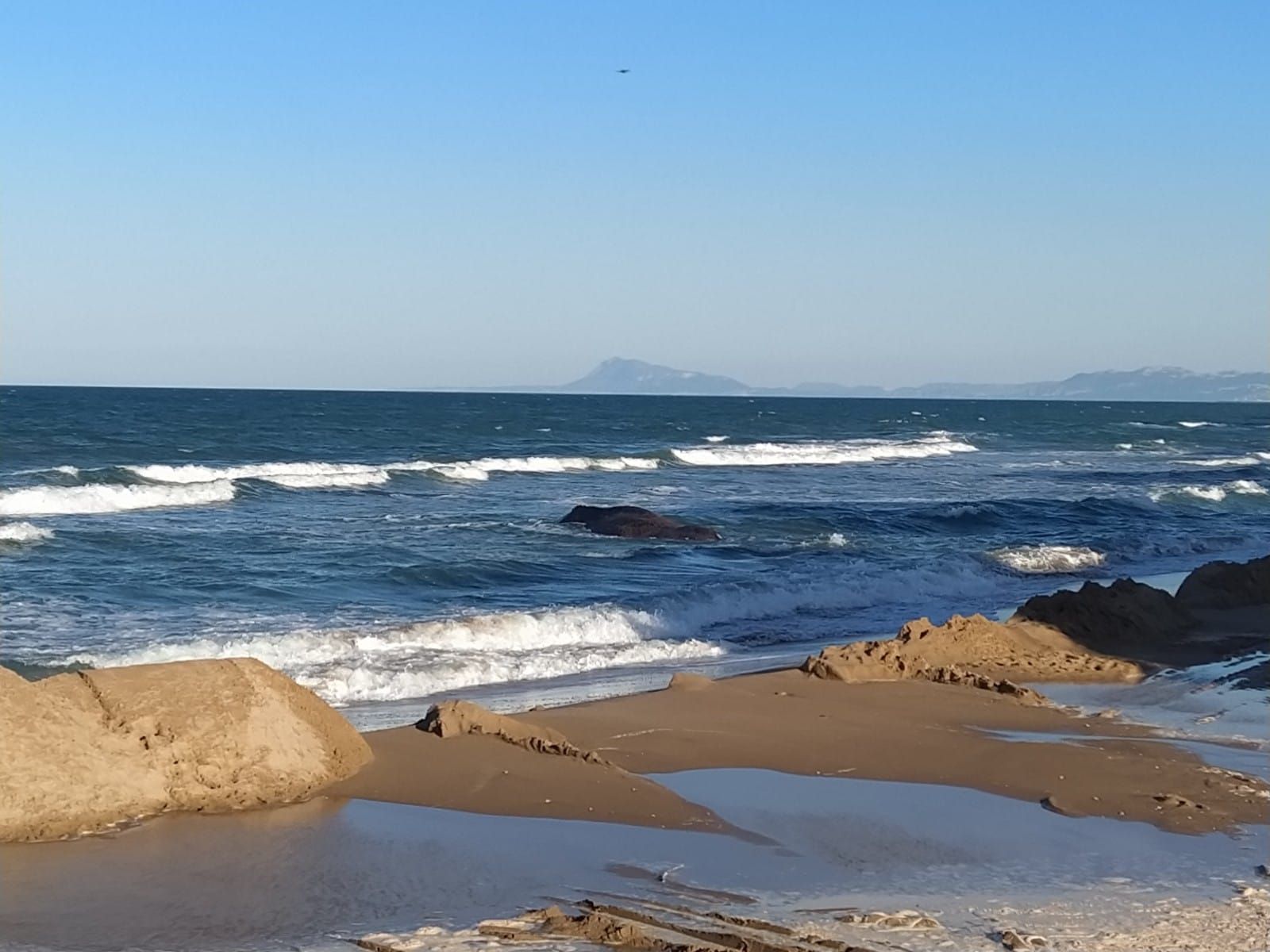 Avistan una ballena en la playa de Tavernes de la Valldigna