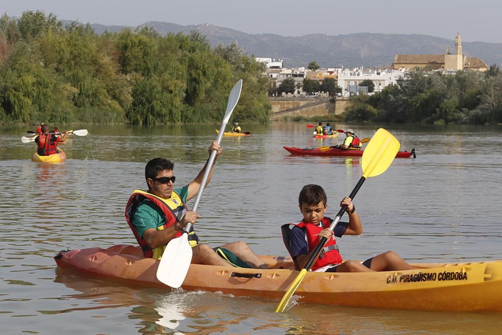 Fotogalería / Ruta del Caimán por el río Guadalquivir.