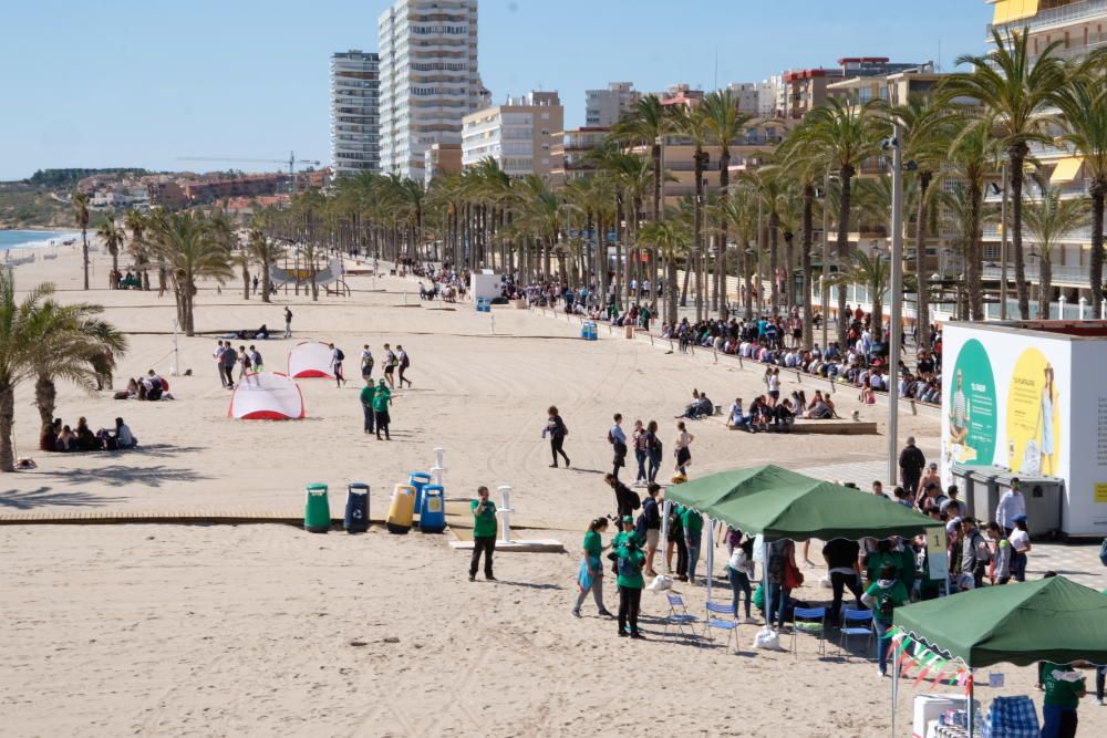 Botellón de Santa Faz 2018