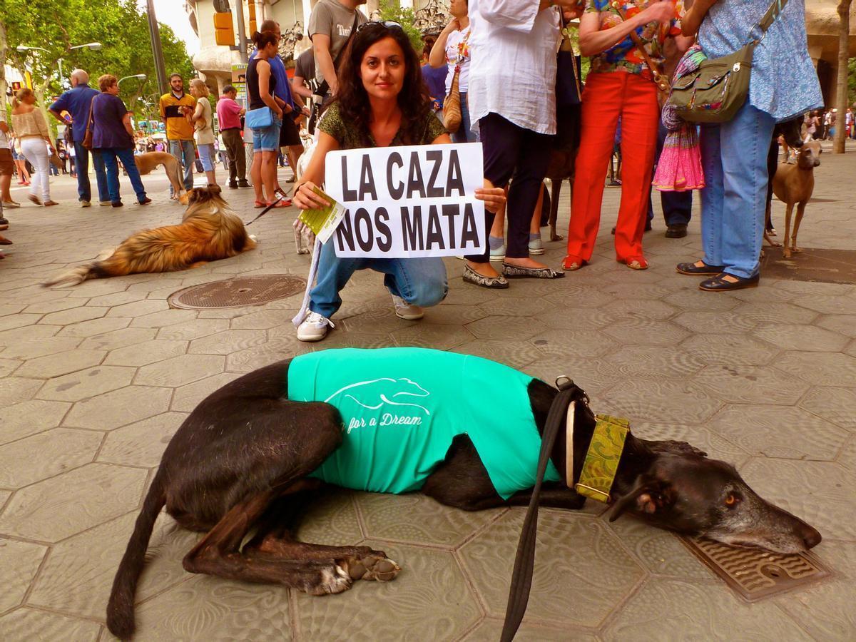 El 93% de las muertes de animales por veneno o caza furtiva no se juzgan.