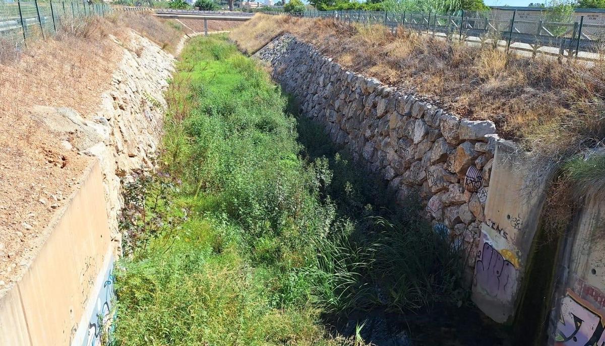 Aspecto del barranco del Palmaret en la actualidad.