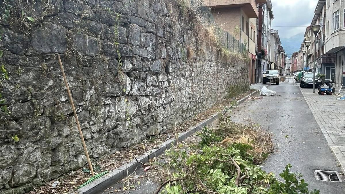 La limpieza del muro de la Calle Atrás