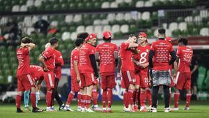 jdomenech53779127 bayern munich s players celebrate end of the german bundesli200813192244