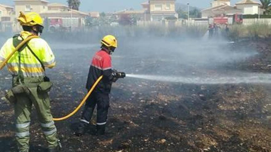 Un incendio calcina 6.000 metros cuadrados de pino y matorral