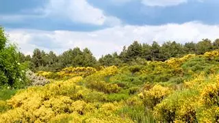 El pueblo de Extremadura considerado el "paraíso de los licores": se conoce como "la cuna de Viriato" y tiene 363 habitantes