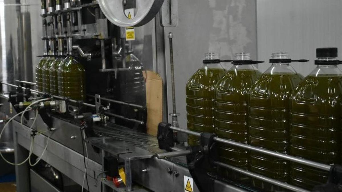 Envasado de aceite en Vitivinícola La Purísima.