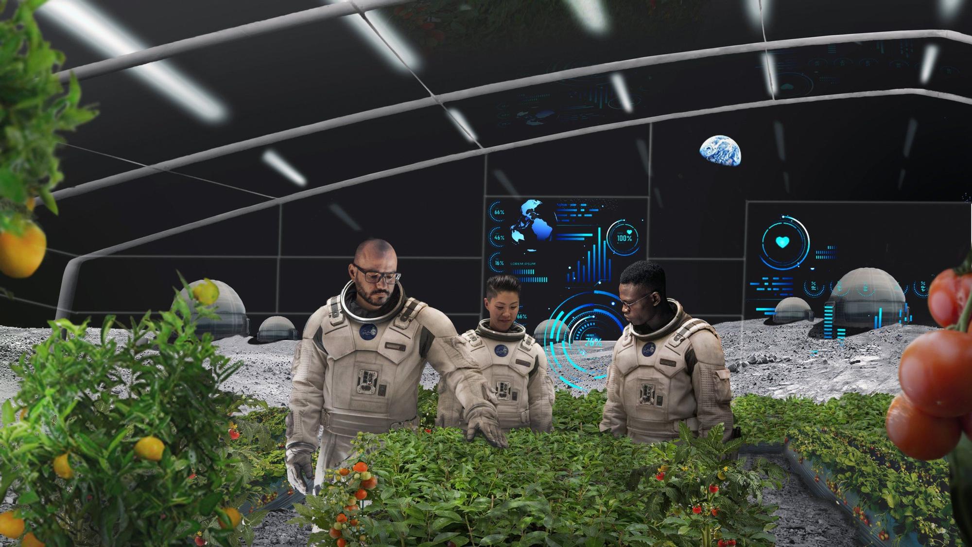 Simulación de cómo sería un futuro cultivo de plantas en la Luna