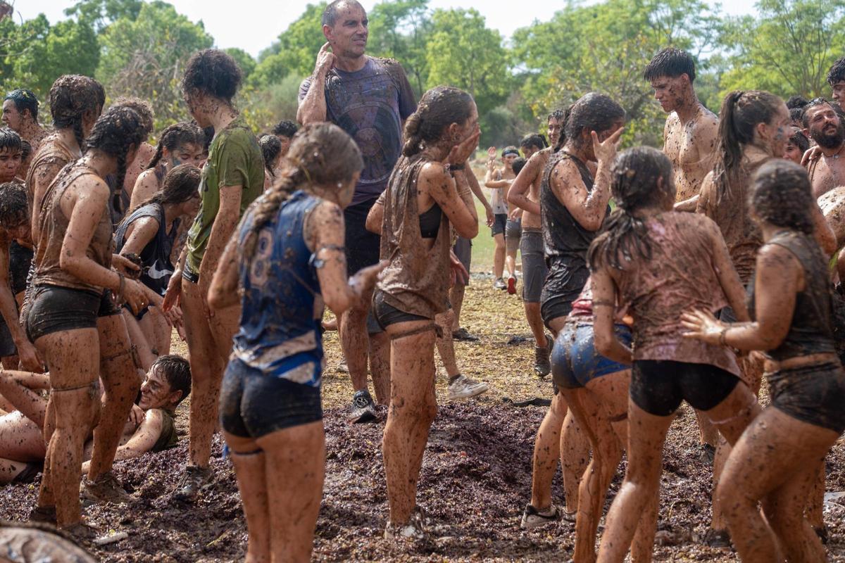 Sa Vermada de Binissalem arranca con su multitudinaria ‘guerra de raïm’ y la ‘Festa dels Trepitjadors’