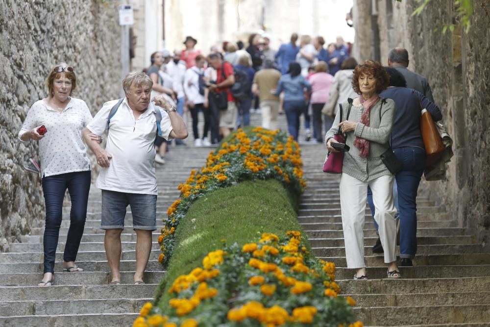 Temps de Flors 2017