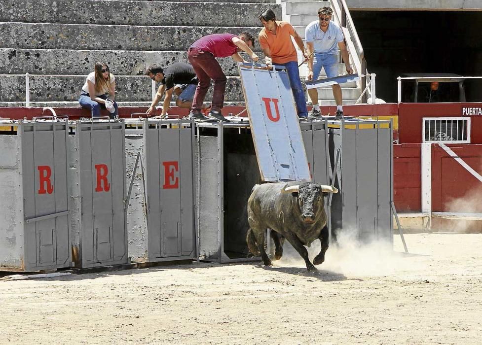 El alma de Fandiño entre el cielo y el ruedo