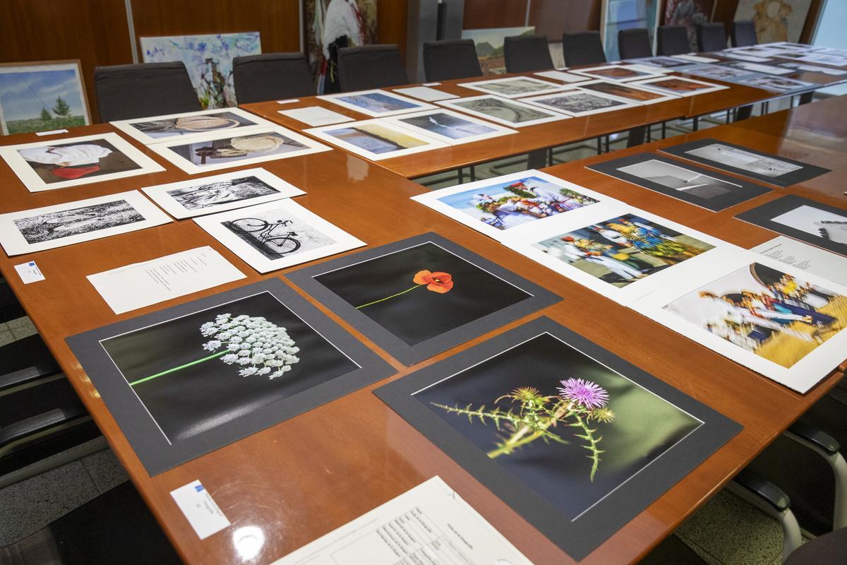 Muestra de los trabajos presentados al concurso
