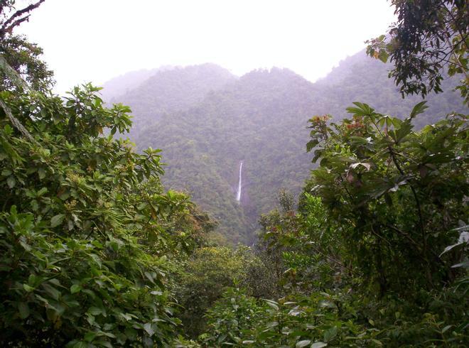 Parque Internacional de La Amistad, Costa Rica