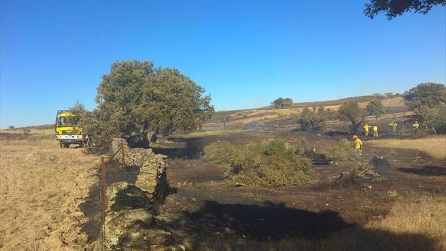 Un incendio quema unas 8 hectáreas de terreno
