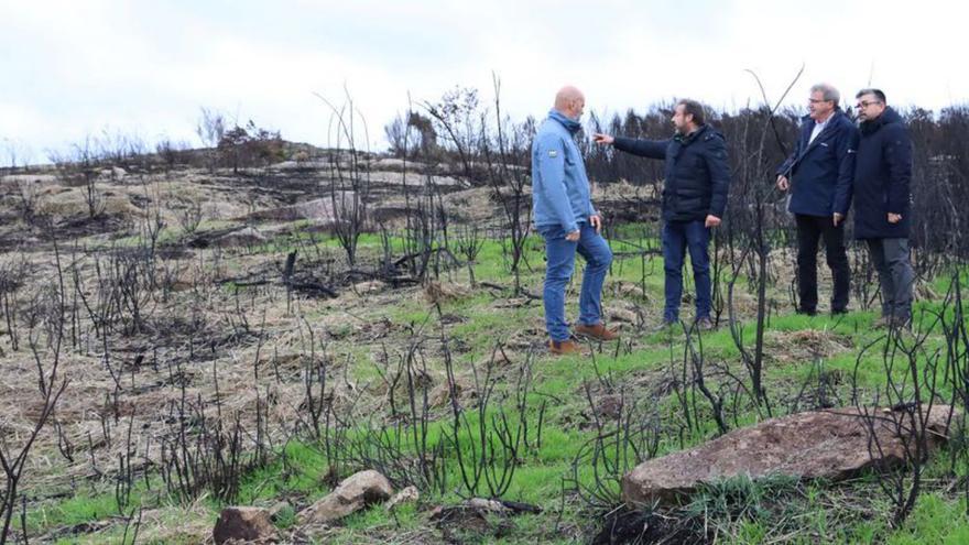 Xunta y Concello, visitando los montes dañados. |  FdV