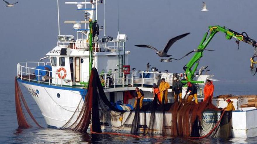 Pesca de sardina en la ría de Arousa. //