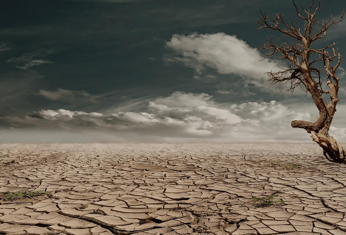La escasez de agua es un hecho en España que, lejos de frenarse, irá cada vez a más de la mano del cambio climático.