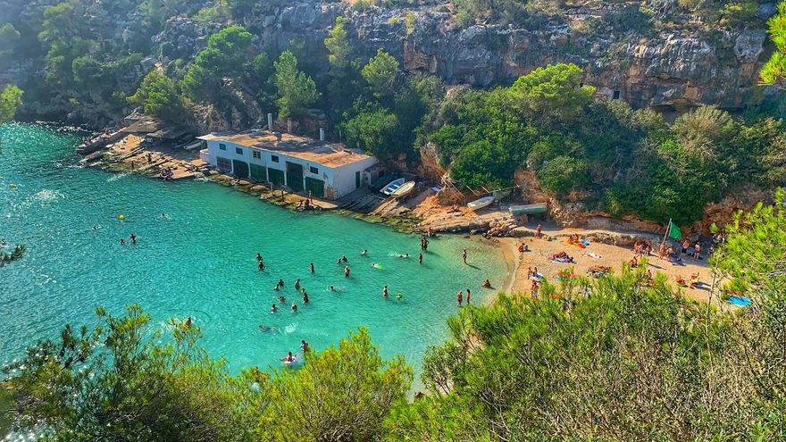 La fecha en la que llegan las medusas a Mallorca: a partir de este día es imposible bañarse sin que te piquem