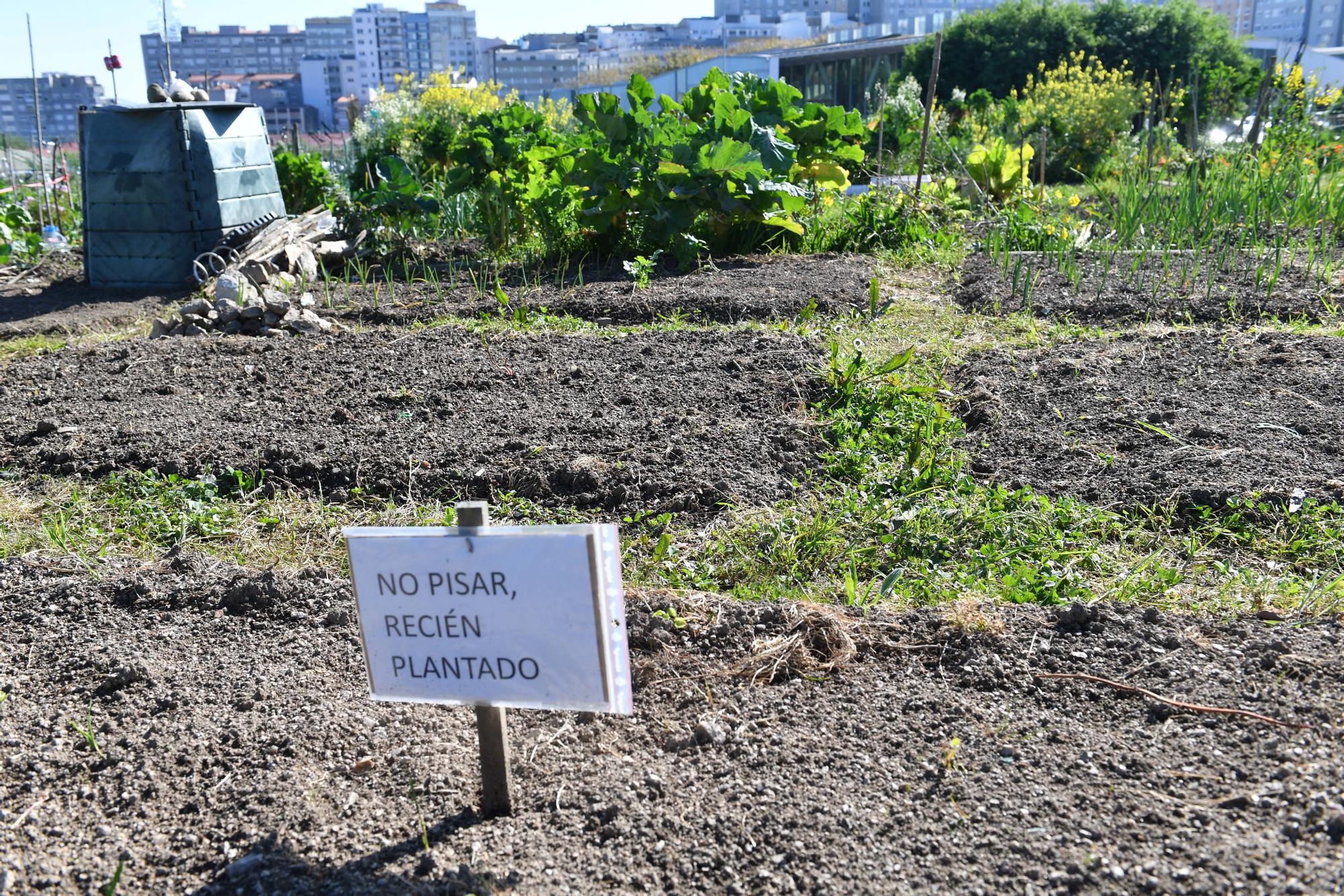 Huertos urbanos de A Coruña, un ocio saludable