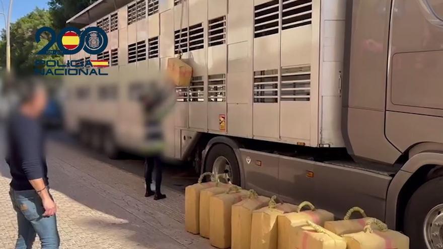 Detenido con 470 kilos de hachís ocultos en un tráiler de transporte de animales