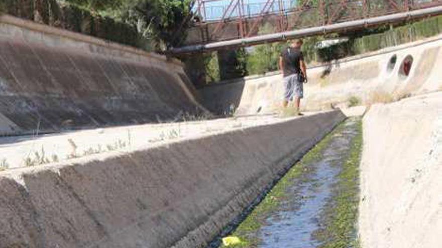 La falta de caudal ecológico estable seca  el Vinalopó y amenaza su ecosistema