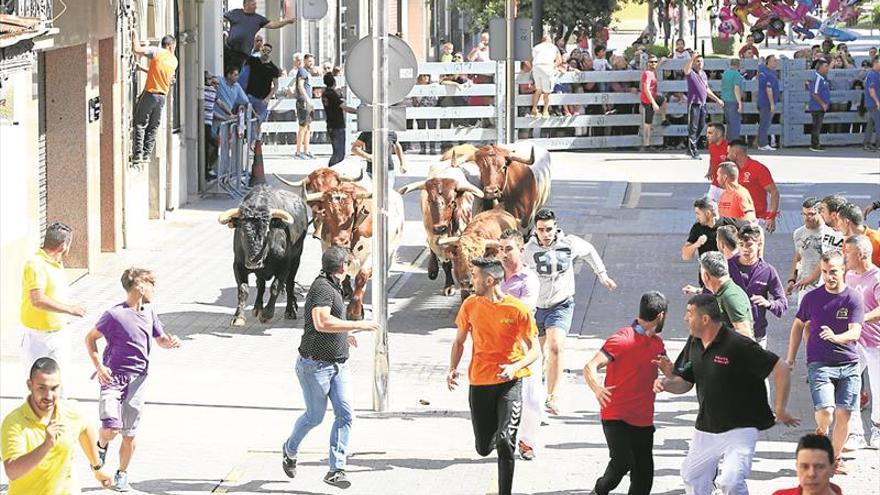 Un encierro de Germán Vidal abrirá los festejos del Roser