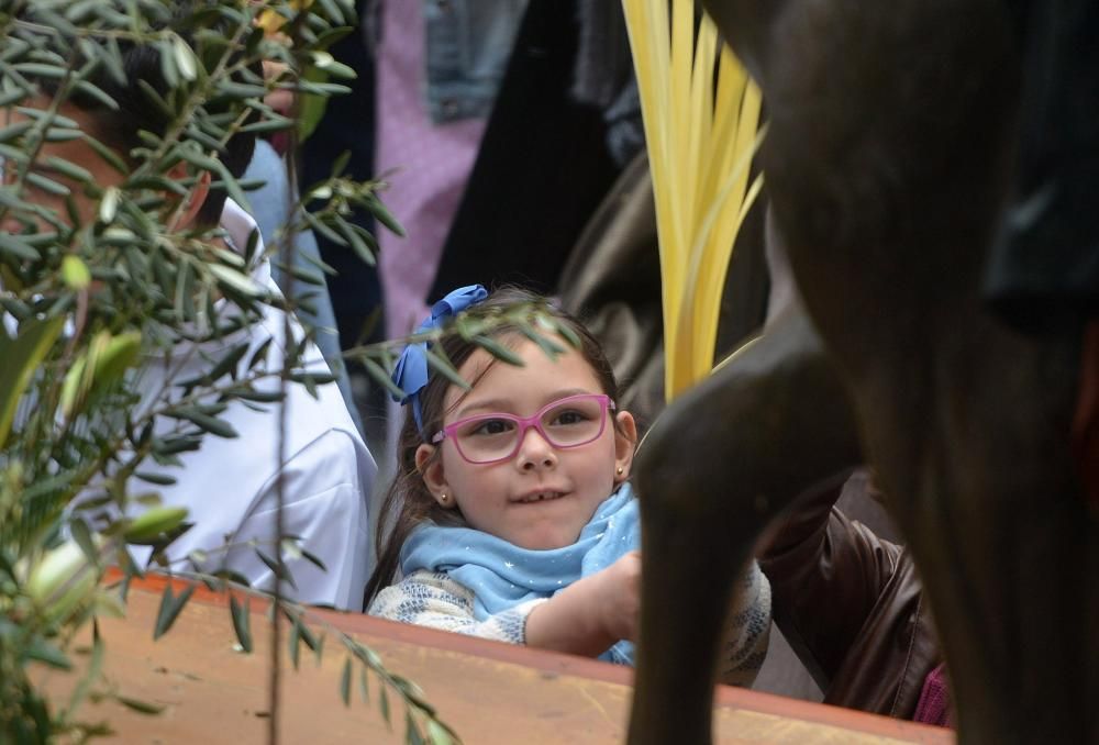 Semana Santa en Pontevedra 2016 | La Burrita recupera el recorrido entre la iglesias de San José y la escalinata de San Francisco