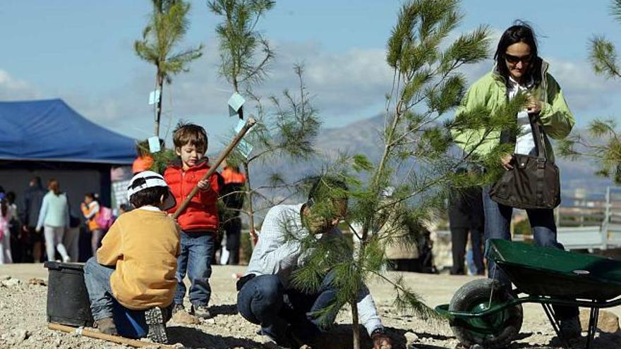 Una familia en la reforestación de la Serra Grossa. Abajo, la Bellea del Foc Infantil, Cristina Rodríguez, en La Murta