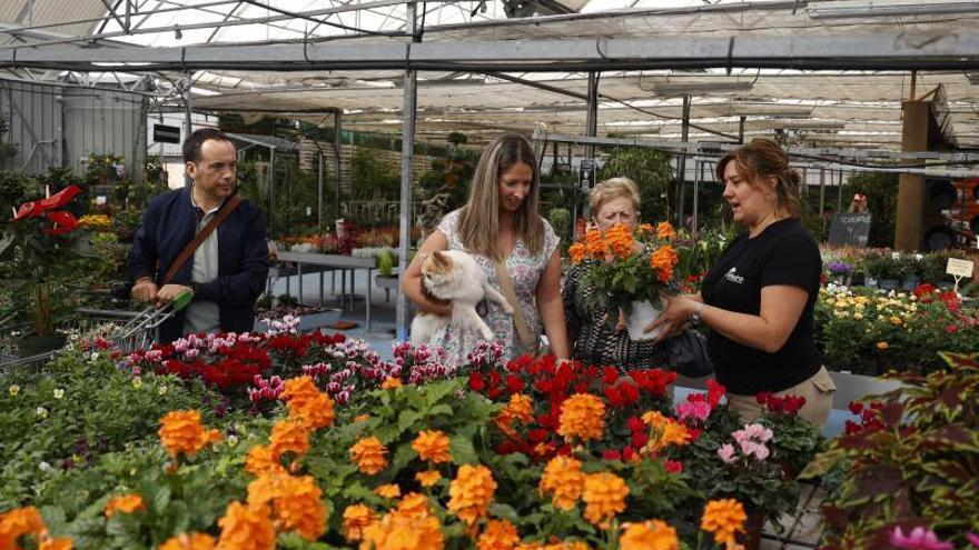 Una trabajadora de Viveros O Piñeiro muestra plantas a unas clientas.